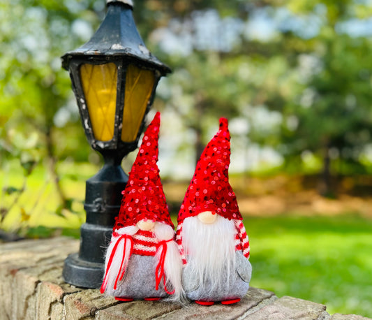 Cute Sequin Hat Christmas Gnome Duo – Unique Holiday Decor & Gift for Friends, Family & Kids