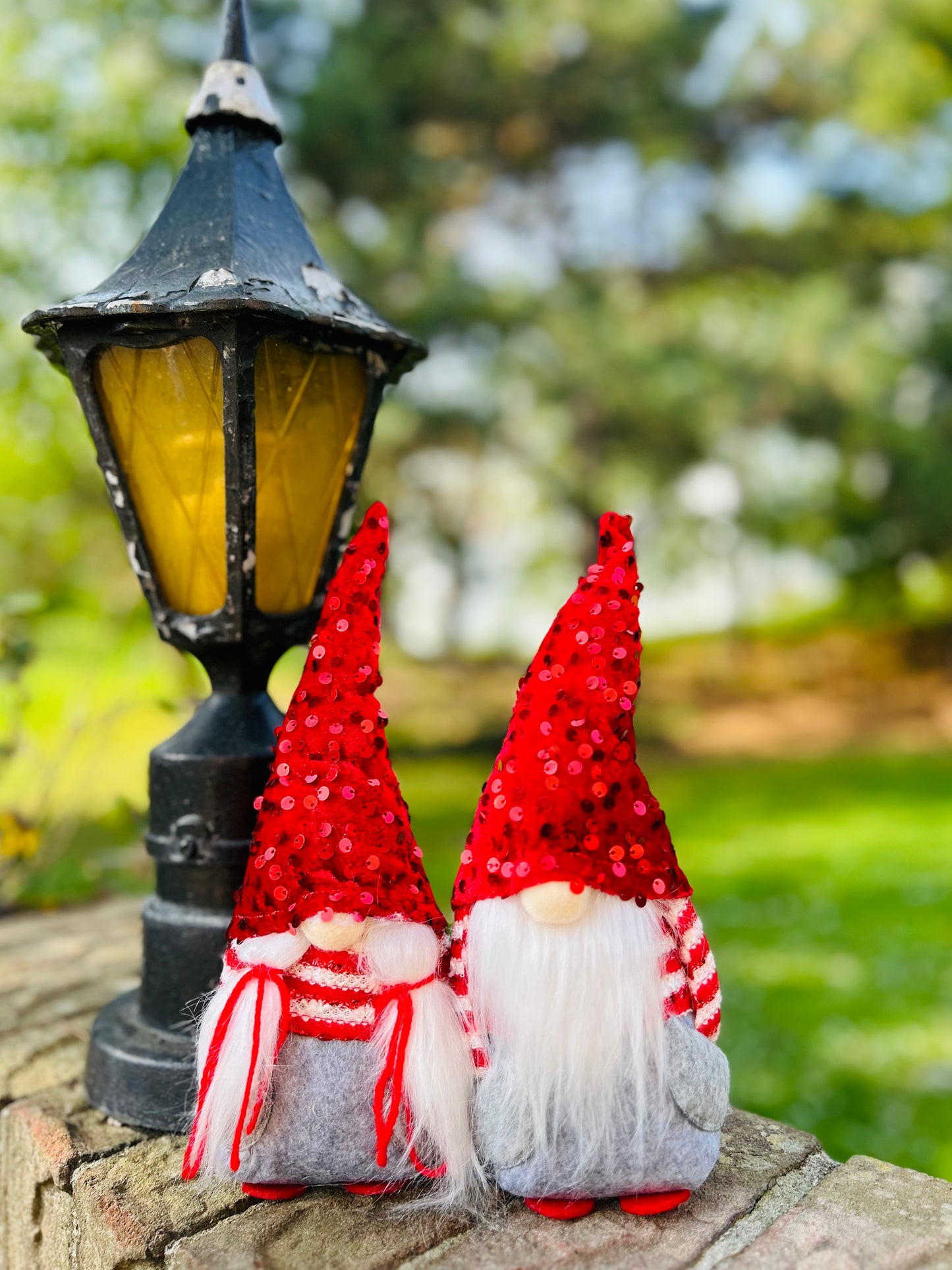 Cute Sequin Hat Christmas Gnome Duo – Unique Holiday Decor & Gift for Friends, Family & Kids