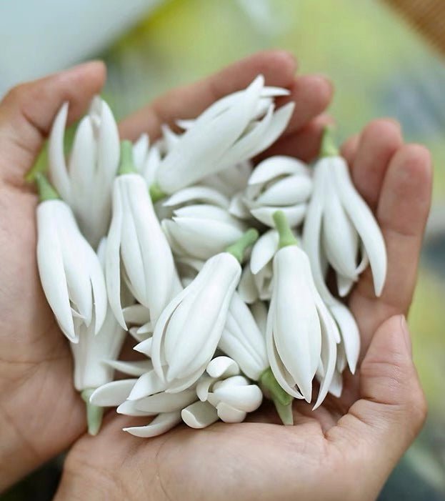 Elegance in Bloom: Handcrafted Ceramic Incense Holders with White Magnolia and Jasmine – Petite Treasures for Tranquil Spaces and Thoughtful Gifts - Simplidecor