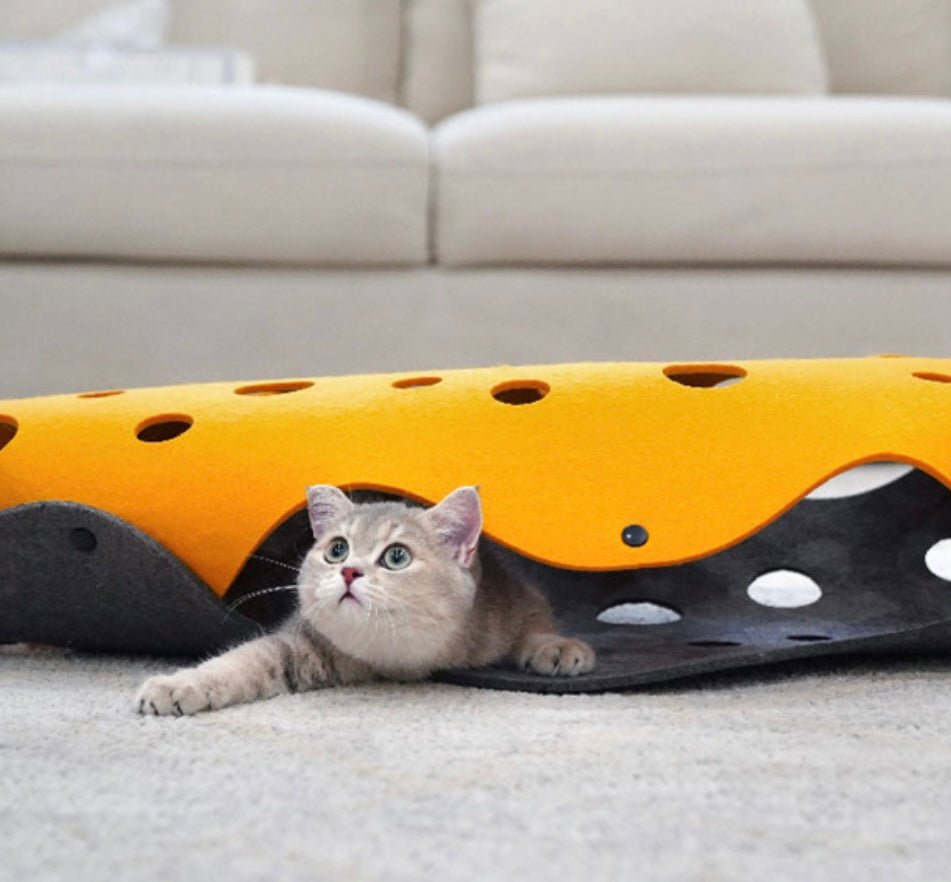 Explore Endless Pet Fun with Our Snap - On Felt Tunnel – Easy Assembly, Stylish Design, and Compact Storage for Happy Pets and Chic Home Décor! 🐾🌈 #PetTunnel #EasyAssembly #StylishPetToys - Simplidecor