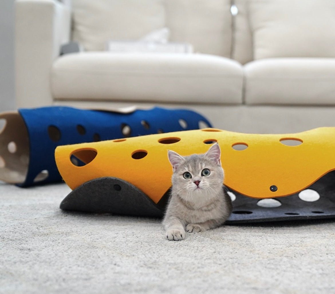 Explore Endless Pet Fun with Our Snap - On Felt Tunnel – Easy Assembly, Stylish Design, and Compact Storage for Happy Pets and Chic Home Décor! 🐾🌈 #PetTunnel #EasyAssembly #StylishPetToys - Simplidecor