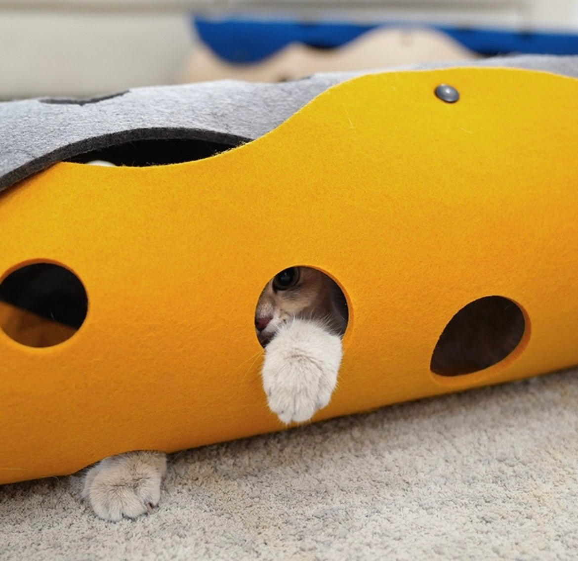Explore Endless Pet Fun with Our Snap - On Felt Tunnel – Easy Assembly, Stylish Design, and Compact Storage for Happy Pets and Chic Home Décor! 🐾🌈 #PetTunnel #EasyAssembly #StylishPetToys - Simplidecor