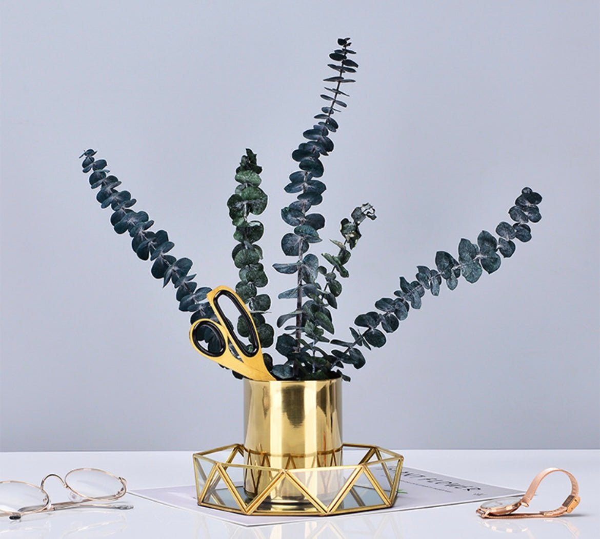 Sophisticated Glass and Gold Polygon Storage Tray: A Minimalist Statement for Modern Living - Simplidecor